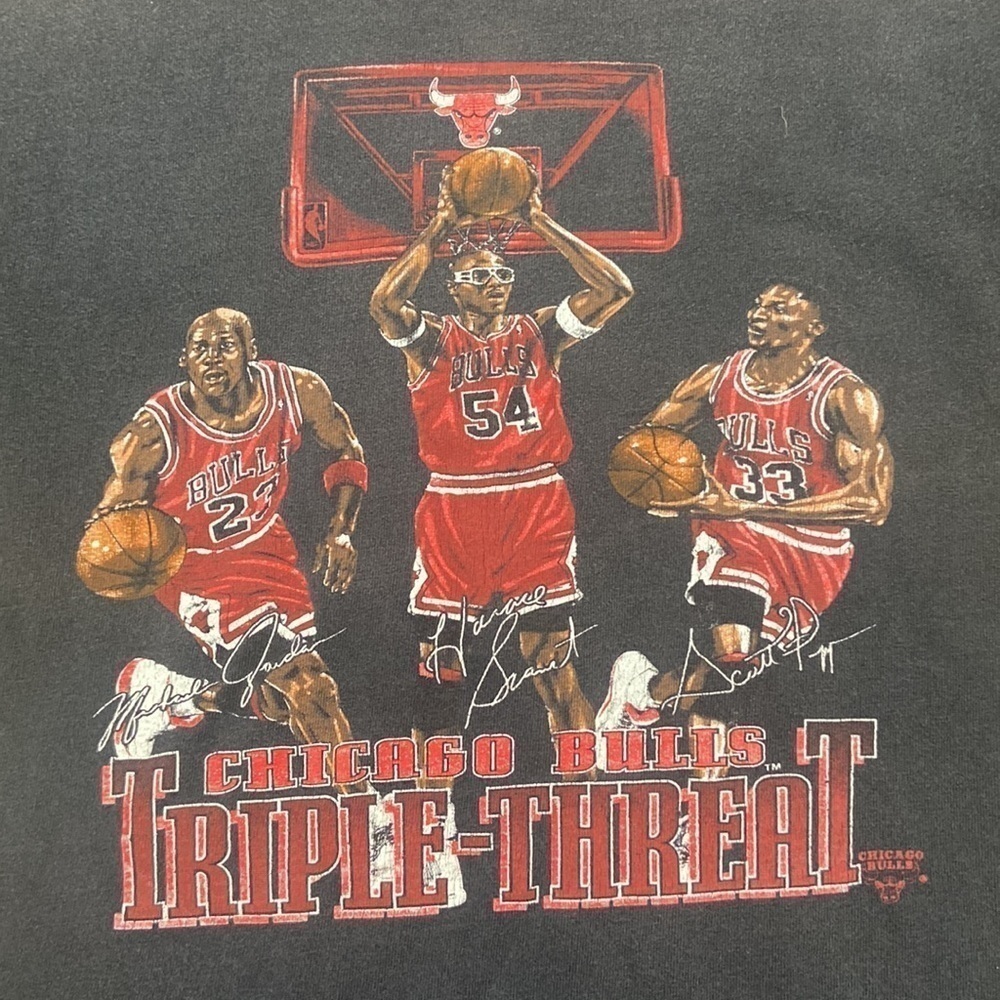Vintage Nutmeg Mills Michael Jordan Pippen Grant Triple Threat Chicago Bulls YL
